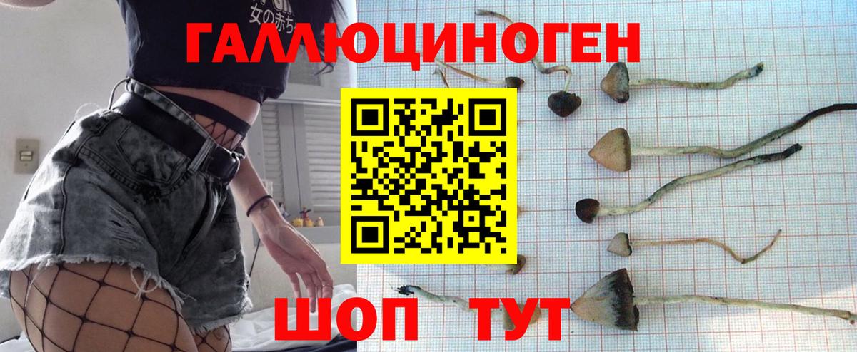 Галлюциногенные грибы Cubensis  Вход с VPN  Псилоцибиновые грибы GOLDEN TEACHER  Благодарный 